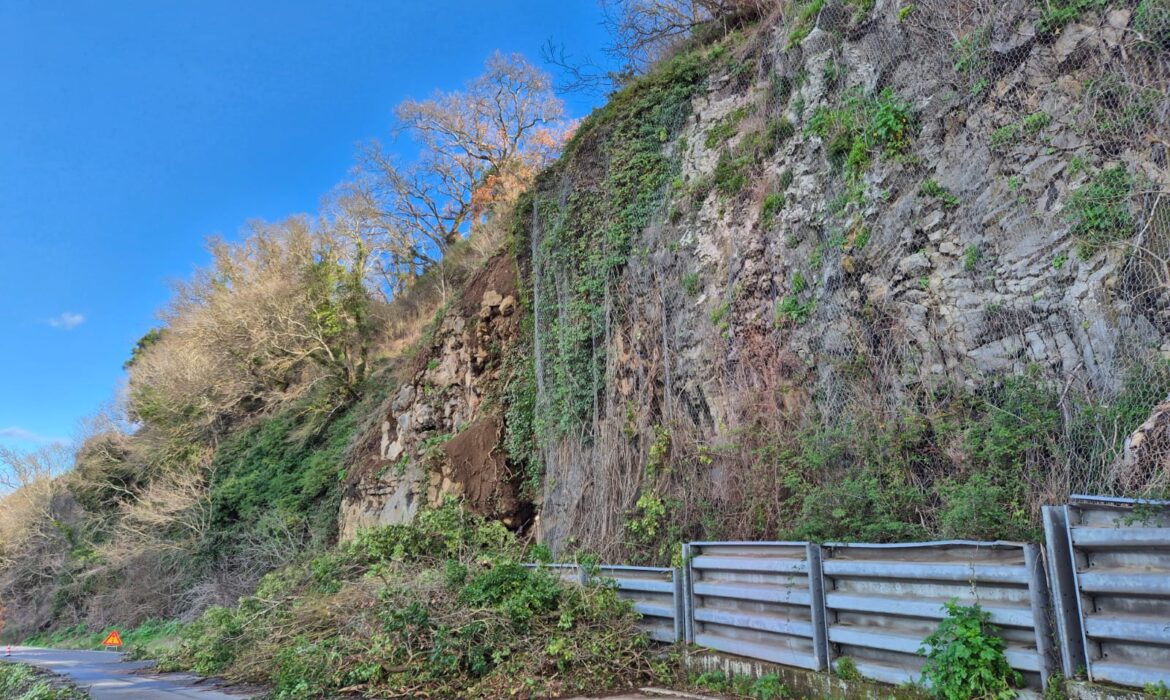 Interrogazione lavori SP 12